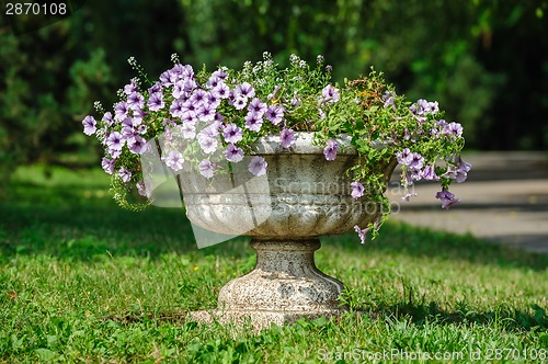 Image of vase park flowers