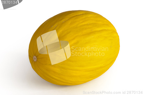 Image of Canary melon