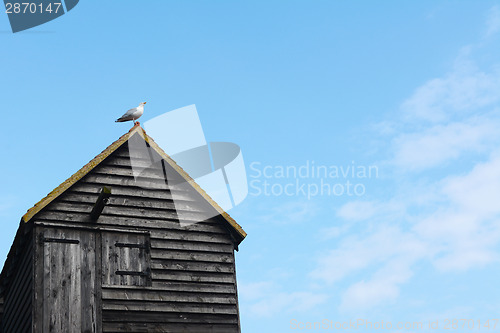 Image of Seagull on the rooftop of a clapboard fishing hut