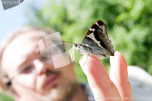 Image of butterfly on man hand