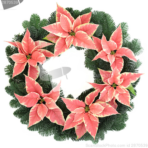 Image of Pink Poinsettia Wreath