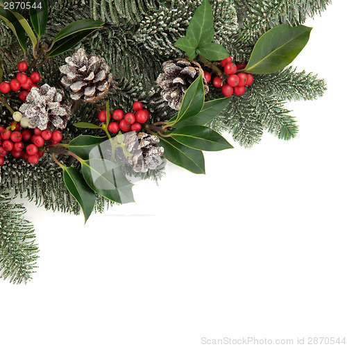 Image of Christmas Flora