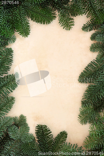 Image of Winter Fir Leaf Border