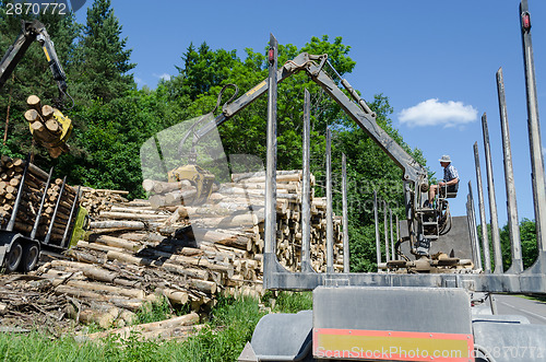 Image of Man load felled trees logs with crane to trailer 