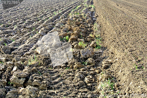 Image of acre prepared for sowing