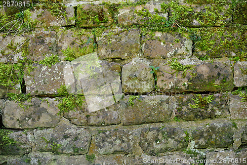 Image of Medieval wall of a castle