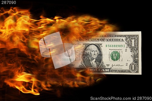 Image of money on fire