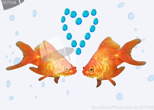 Image of goldfishes in love