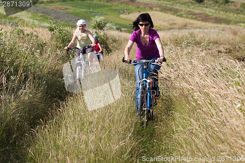 Image of Family riding a bicycles in the meadow