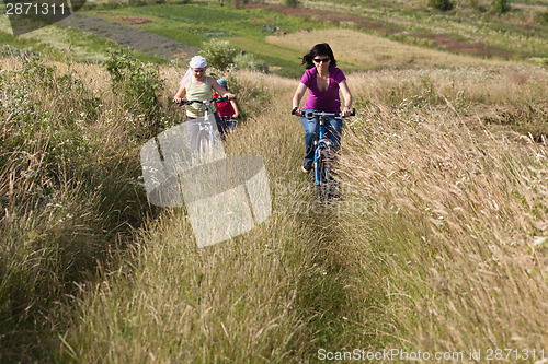 Image of Family riding a bicycles in the meadow