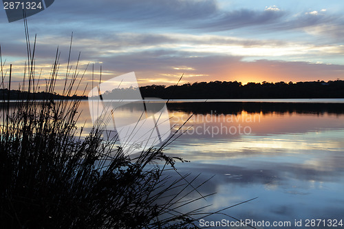 Image of Tranquility at Narrabeen Lakes