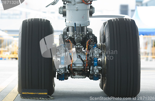 Image of Rear landing gear of wide-body airplane