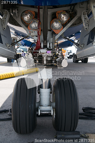 Image of Nose wheel of airplane