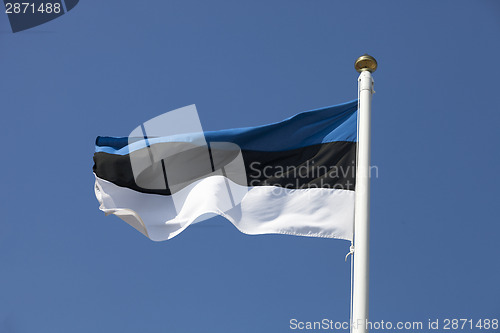 Image of Estonia flag on blue sky