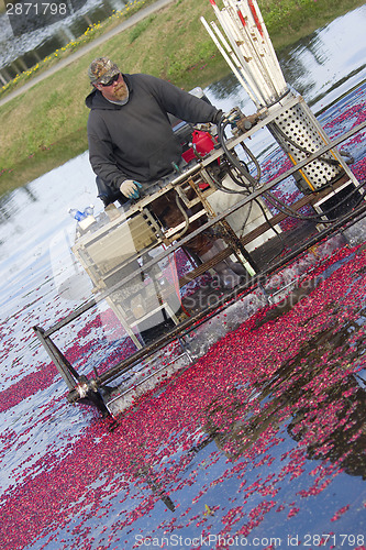 Image of Fruit Farmer