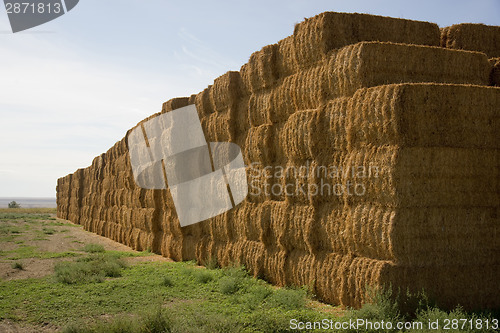 Image of Hay Bales in Huge Stack on Corner of Farmers Field Farm Staple
