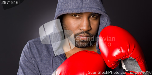 Image of Solo Male Athlete Boxer Strikes Fighter Pose Hoodie Red Boxing G