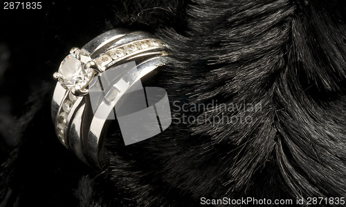 Image of Wedding Ring