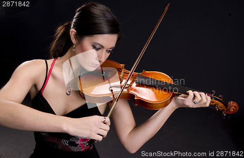 Image of Beautiful Violinist
