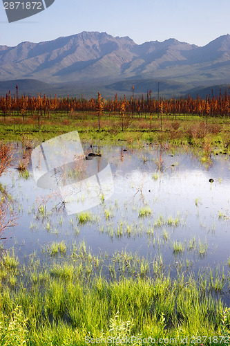 Image of Scenic Marsh Water Panoramic Mountain Landscape Outback Alaska