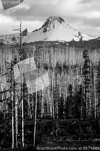 Image of Ragged Burned Mountain Peak Mt. Washington Oregon Cascade Range