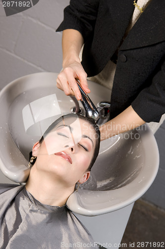 Image of Stylist Cleansing Customer Hair in Professional Salon