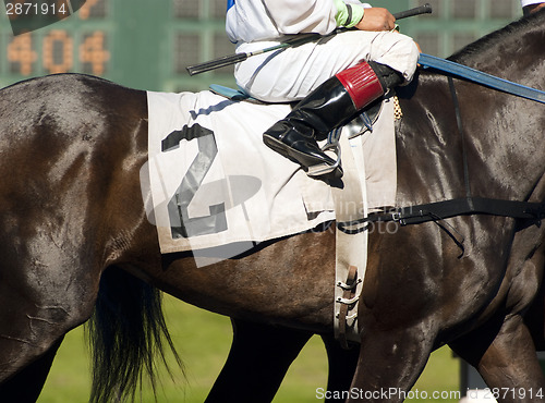 Image of Jockey Leads Number Two Horse to Start Gate at Horserace