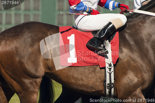 Image of Number One Horse Prepares to Enter Start Gate at Horserace