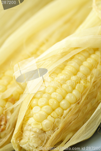 Image of Sweet yellow corn
