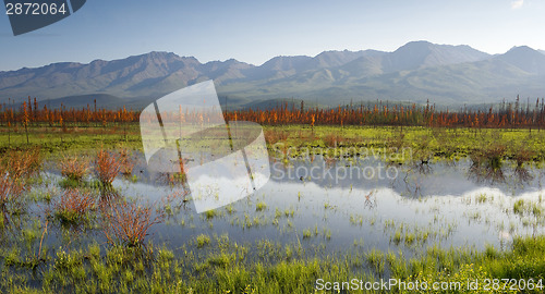 Image of Scenic Marsh Water Panoramic Mountain Landscape Outback Alaska