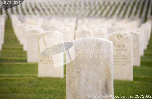 Image of Marble Stone Military Headstones Hundreds Row Graveyard Cemetery