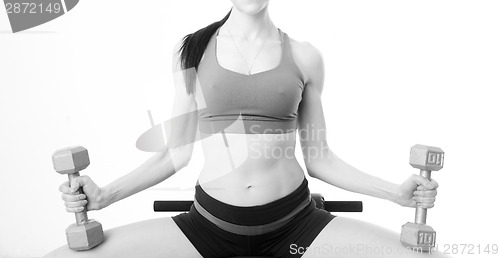 Image of Slim Trim Female Torso Holds Barbells While Bench Weight Trainin