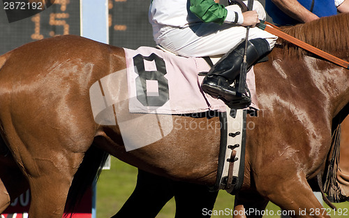 Image of Jockey Leads Number Eight Horse to Start Gate at Racetrack