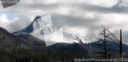 Image of Ragged Burned Mountain Peak Mt. Washington Oregon Cascade Range