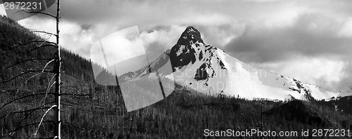 Image of Ragged Burned Mountain Peak Mt. Washington Oregon Cascade Range