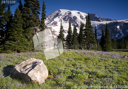 Image of Majestic Snowcapped Mountain Peak Mt. Rainier Wildflowers Cascad