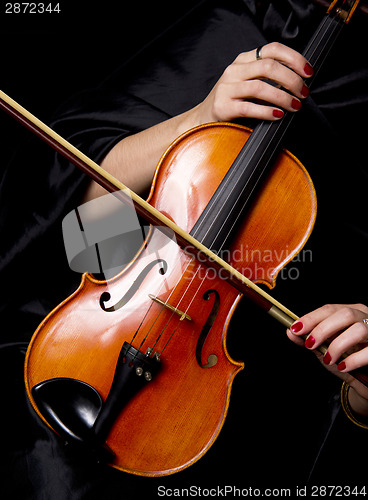 Image of Violinist Holds Bow Across Saturated Musical Violin