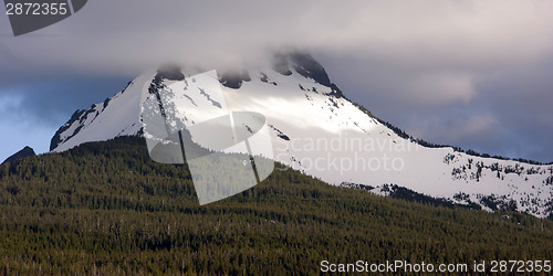 Image of Majestic Snowcapped Mountain Peak Mt. Washington Oregon Cascade 