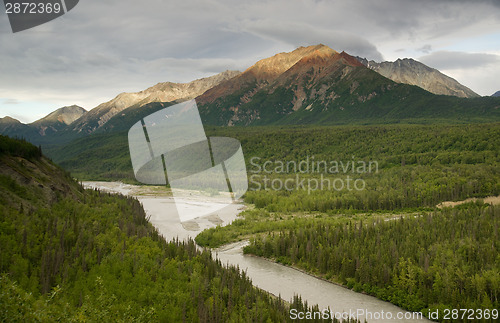 Image of The Matanuska River cuts Through Woods at Chugach Mountains Base