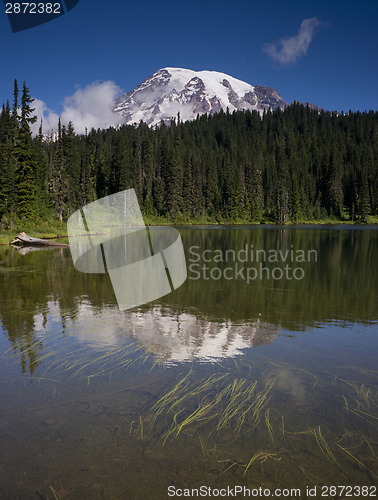 Image of Vertical Composition Mt. Rainier Mirrored Reflction Lake Cascade