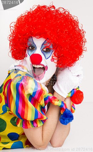 Image of Clown Yelling Close Up Portrait Bright Beautiful Female Performe