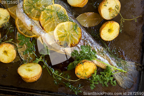 Image of Baked Rainbow Trout Tail