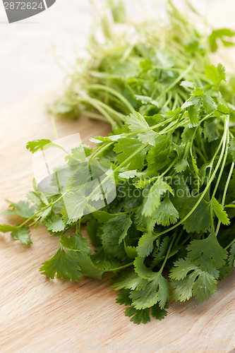 Image of Fresh cilantro
