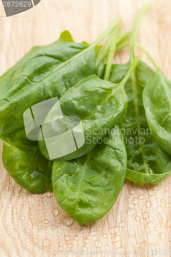 Image of Fresh spinach