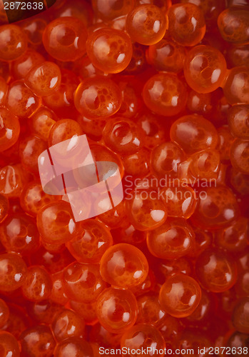 Image of Red caviar