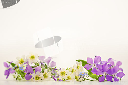 Image of Spring flowers