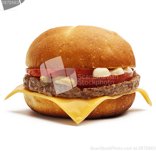 Image of Hamburger