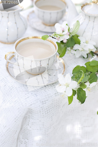 Image of Tea in the blossoming garden