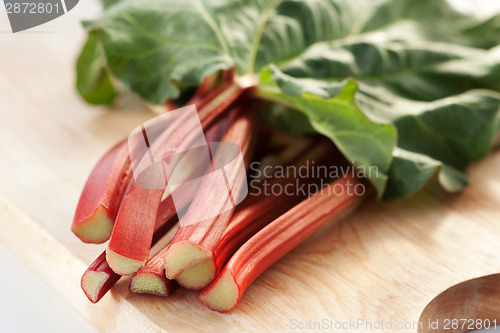 Image of Fresh organic rhubarb