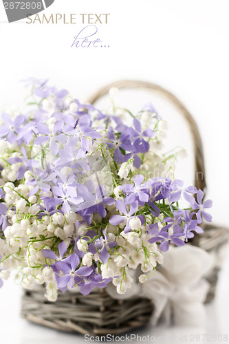 Image of Spring flowers in basket